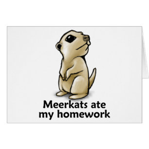 Cartão Meerkats comeu meus trabalhos de casa