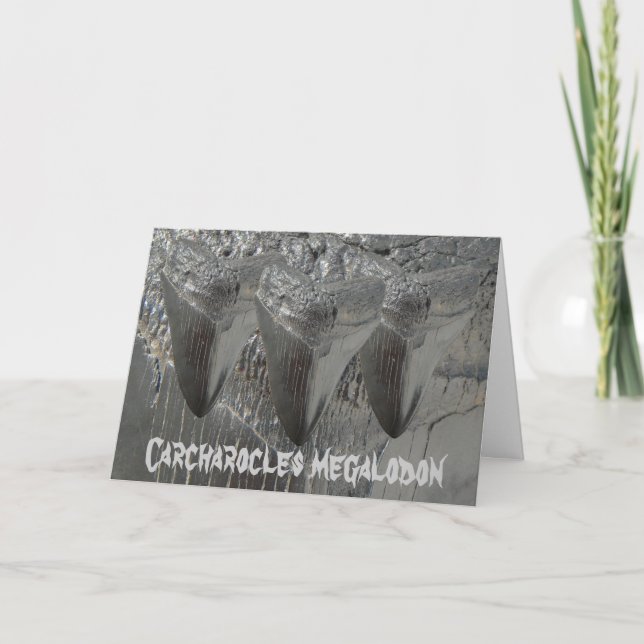 Cartão Megalodon de Carcharocles (Frente)