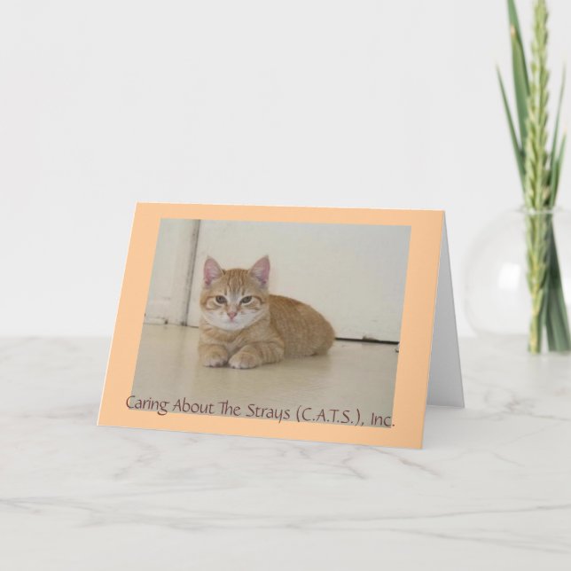 Cartão Meggie Notecards (Frente)