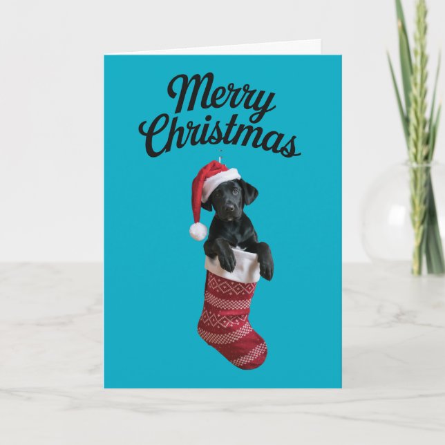 Cartão Meia de Natal do Labrador Preto (Frente)