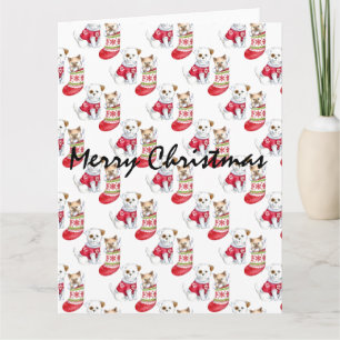 Cartão Meias de Natal para Cães e Gatos          