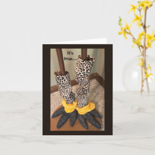 Cartão Meias humorísticas em um frango