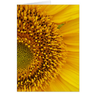 Cartão meio círculo