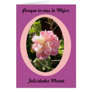 Cartão Mejor dos felicidades do mejor do la dos eres de