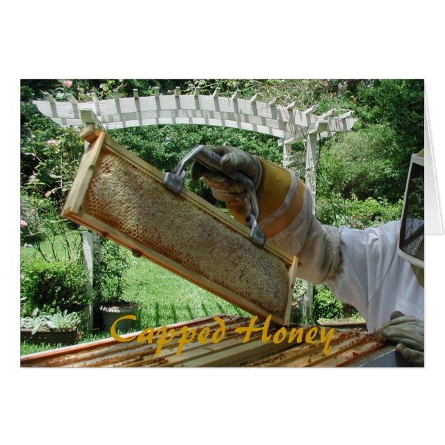 Cartão Mel tampado (Frente Horizontal)