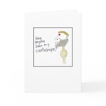 Melão Cantalupo Ilustrado Desaparecido