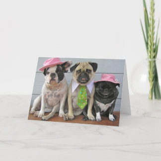 Cartão Melhor Domingo