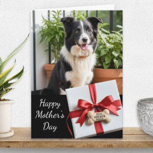 Cartão Melhor Mãe de Cachorro de Todos os Tempos Foto de 
