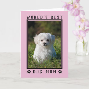 Cartão Melhor Mãe de Cachorro do Mundo Foto Cor-de-Rosa D