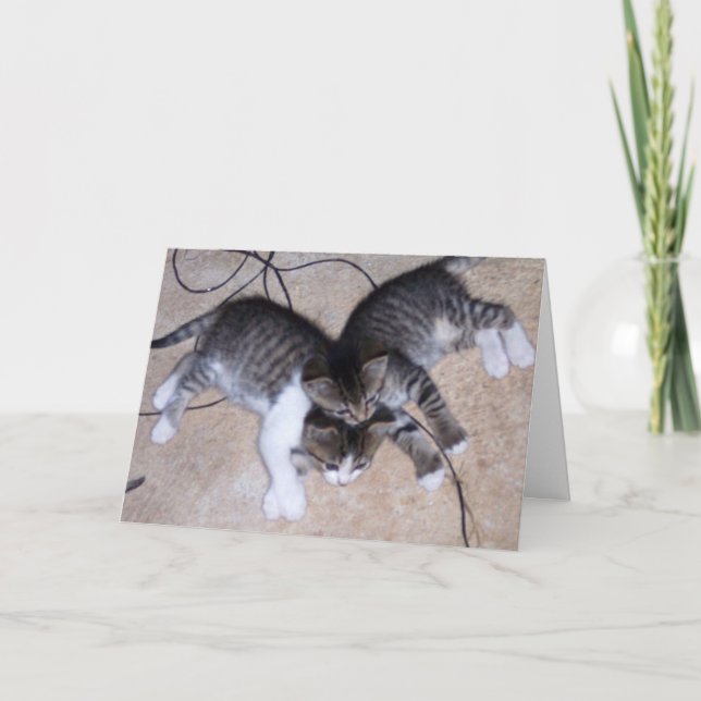 Cartão Melhores Amigos (Frente)