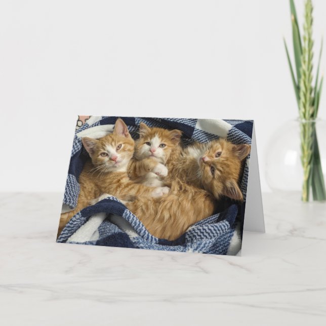 Cartão Melhores Amigos (Frente)