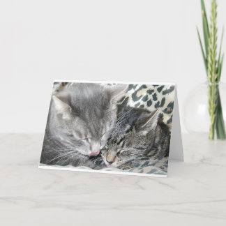 Cartão Melhores amigos