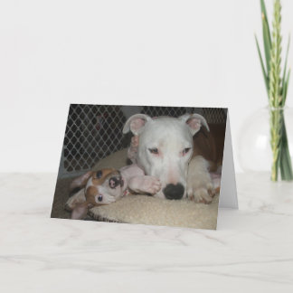 Cartão Melhores amigos…