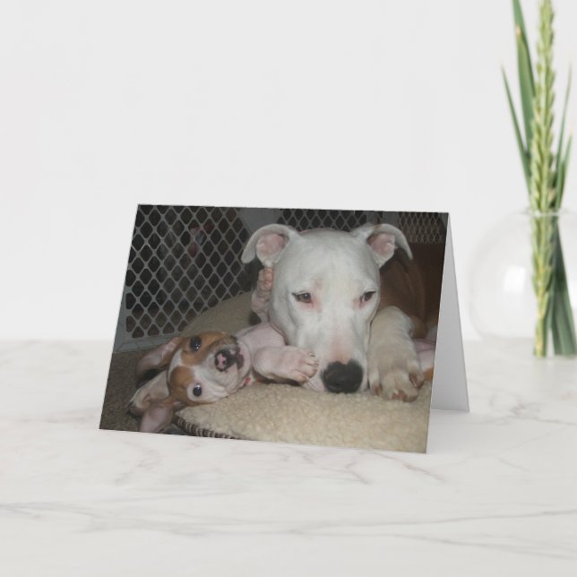 Cartão Melhores amigos… (Frente)