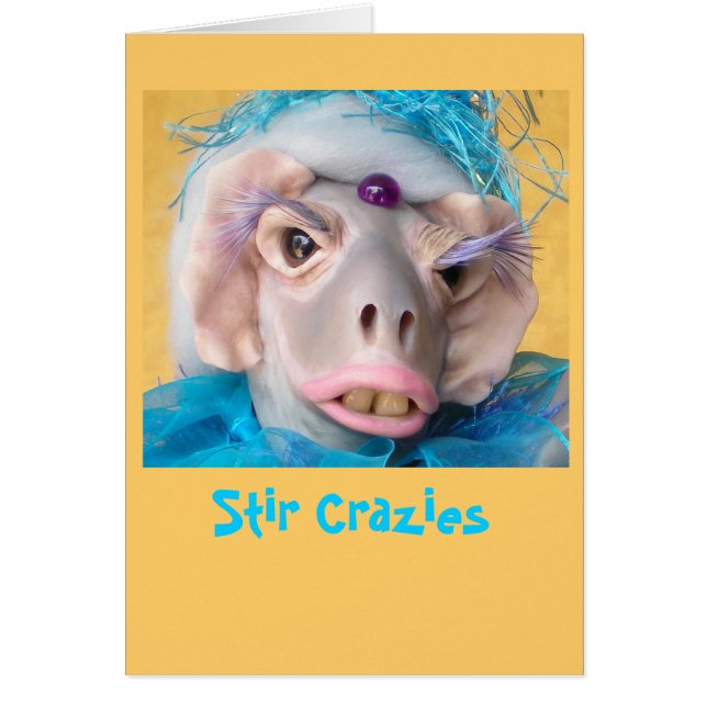 Cartão Melodious de Melvina (Frente)