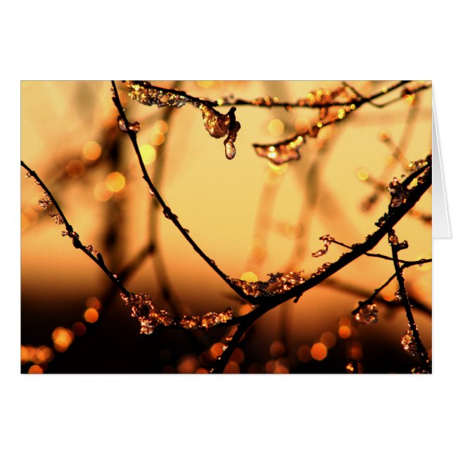 Cartão Melting Dawn (Frente Horizontal)