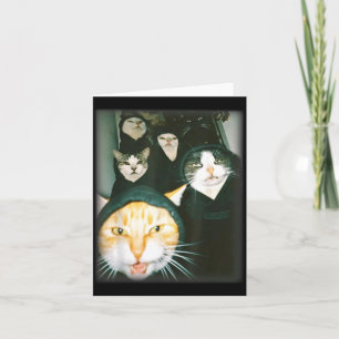 Cartão Meme de Gangue de Gato Engraçado Gatos Caóticos Fe