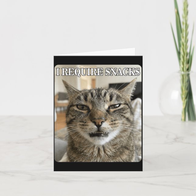 Cartão Meme de Gato Engraçado Requer Design de Lanches Ho (Frente)