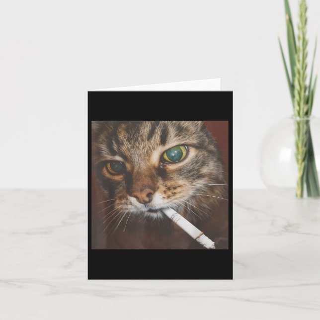 Cartão Meme de Gato Fumante Engraçado (Frente)