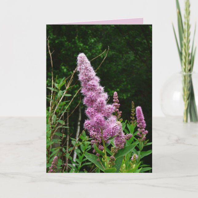 Cartão Memória de Verão Atrasada (Frente)