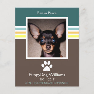 cartão memorial mod pet loss