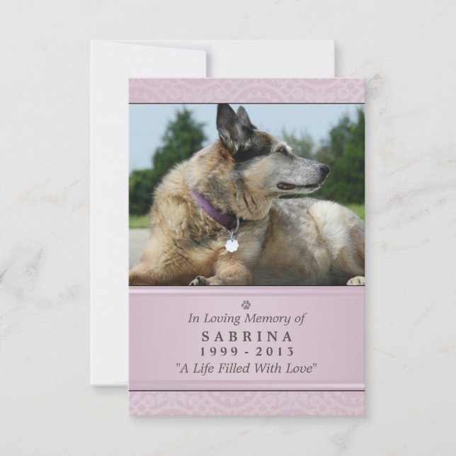 Cartão Memorial Pet 3,5" x 5" - Foto Moderna Rosa (Frente)