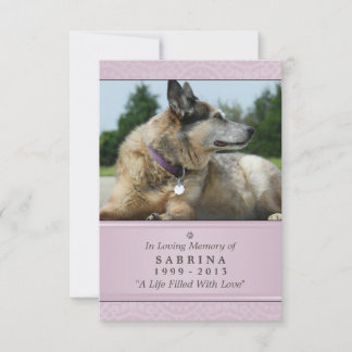 Cartão Memorial Pet 3,5" x 5" - Foto Moderna Rosa