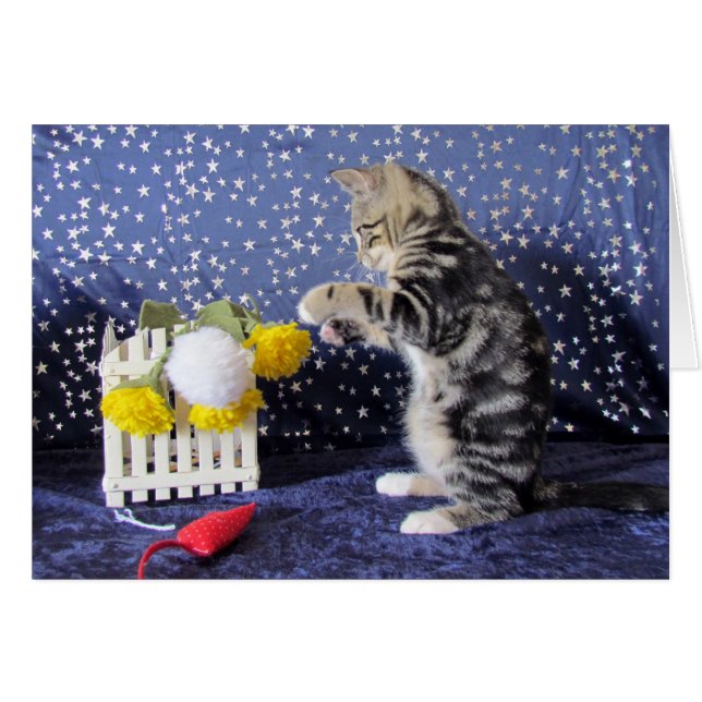 Cartão Menina brincalhão - Lilo (Frente Horizontal)