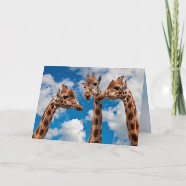 Cartão Meninas da bisbolhetice do girafa (Frente)