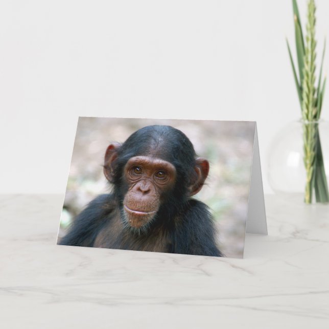 Cartão Menino (Frente)