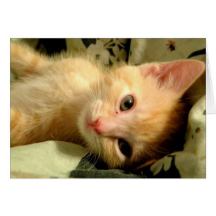 Cartão Menino sonolento mim