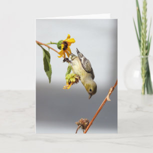 Cartão Menor Goldfinch Notecard