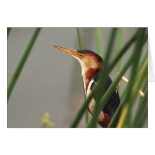 Cartão Menos água-mãe