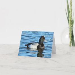 Cartão Menos Scaup - Desenho do Pato Bluebill