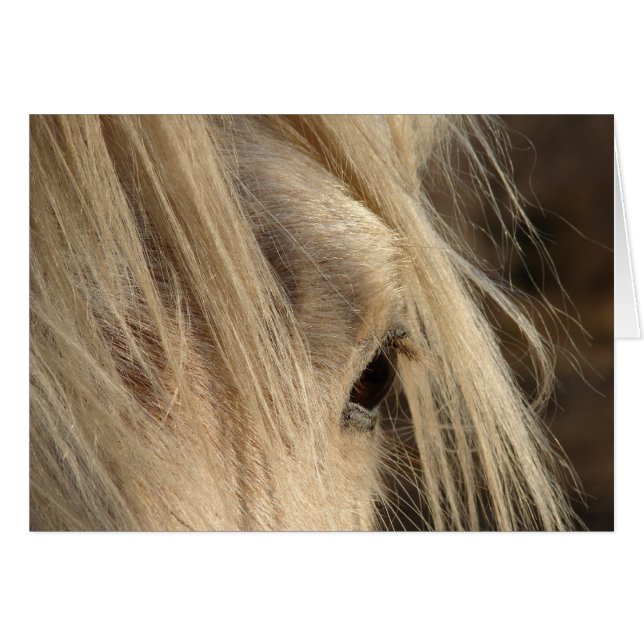 Cartão Mensagem Mane Day (Frente Horizontal)