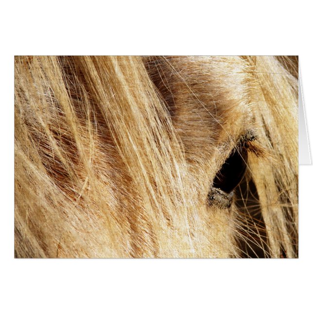 Cartão Mensagem Mane Day (Frente Horizontal)