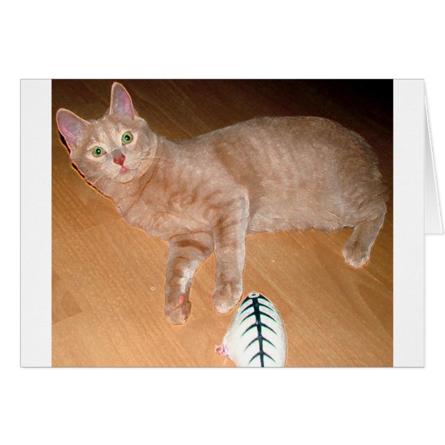 CARTÃO MEOW (Frente Horizontal)