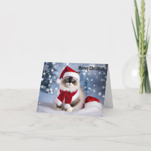 Cartão Meowy Christmas