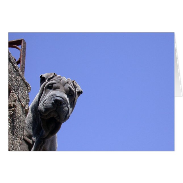 Cartão Mercado Flea (Frente Horizontal)