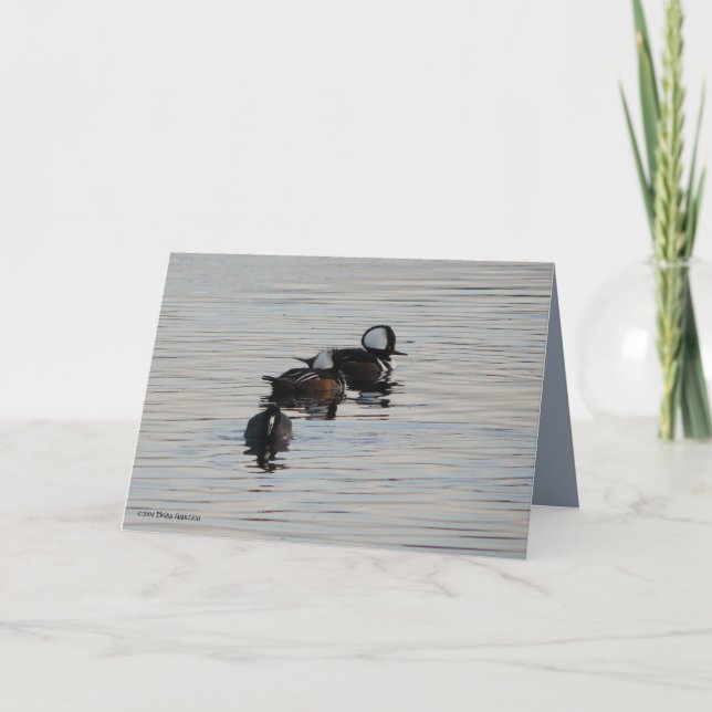 Cartão Mergulhadores pequenos (Frente)