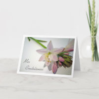 Mes Condoléances, Simpatia Em Francês, Hosta Flowe