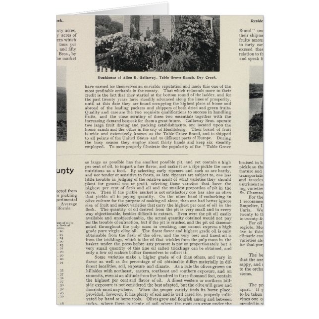 Cartão Mesa Grove Ranch, Califórnia (Frente)