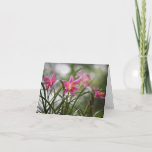 Cartão Mesmerizing Fairy Lilies Note Card