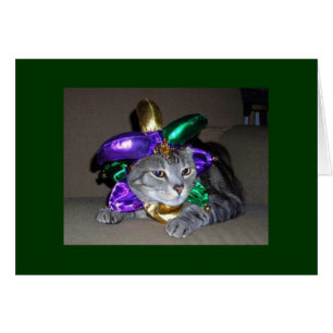 CARTÃO MESMO O GATO ESTÁ CELEBRAMENTE PARA "VOCÊ" É "5O"