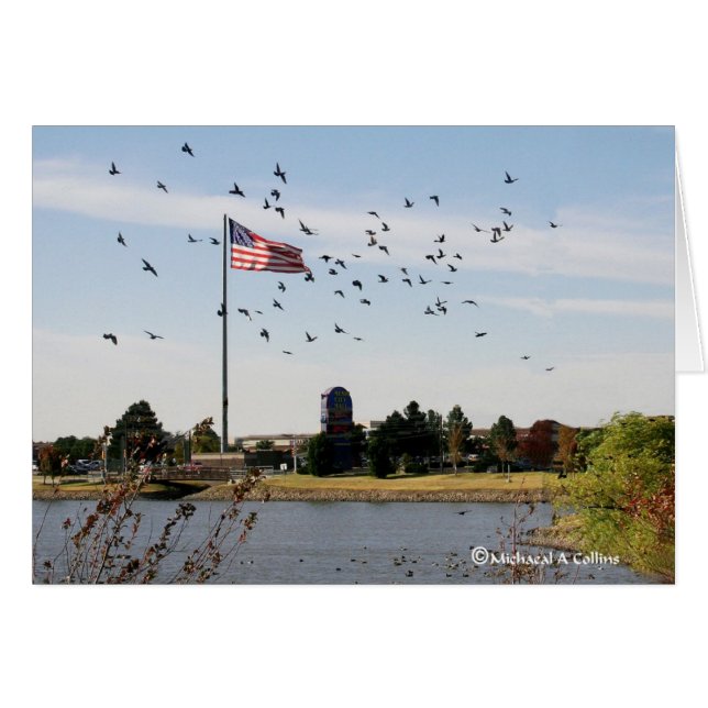 Cartão Mesmo os patos amam os EUA (Frente Horizontal)