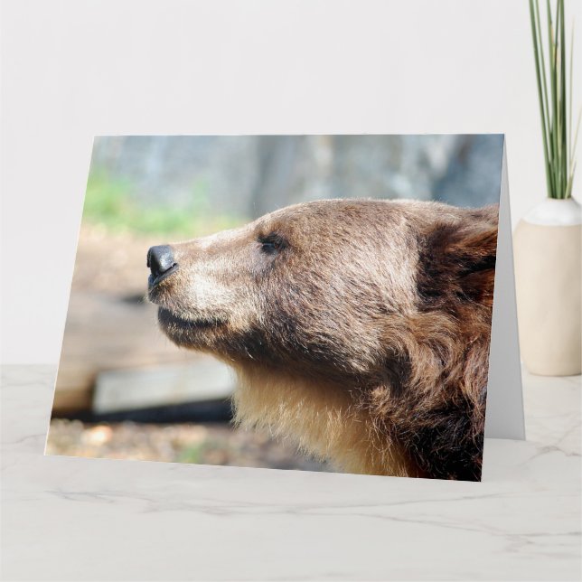 Cartão Mestre Bruin (Frente)