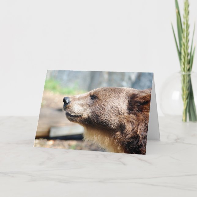 Cartão Mestre Bruin (Frente)