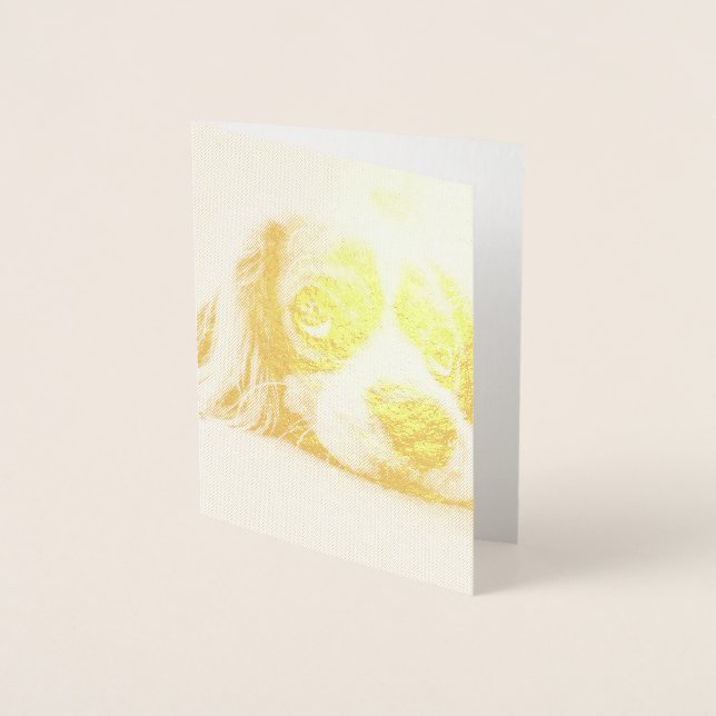 Cartão Metalizado Cachorro Panelado De Olhos Tristes (Frente)