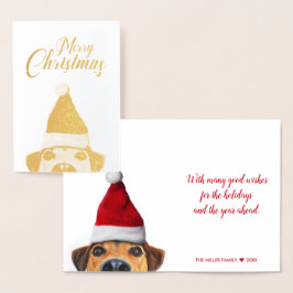 Cartão Metalizado Curioso Cachorro Engraçado com Papai Noel