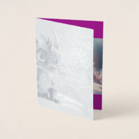Dragão na neve. 
